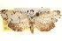  ( - CCDB-23275-H06)  @11 [ ] CreativeCommons - Attribution (2014) CBG Photography Group Centre for Biodiversity Genomics