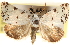  ( - CCDB-23275-H07)  @11 [ ] CreativeCommons - Attribution (2014) CBG Photography Group Centre for Biodiversity Genomics