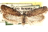  ( - CCDB-23276-A02)  @11 [ ] CreativeCommons - Attribution (2014) CBG Photography Group Centre for Biodiversity Genomics