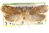  ( - CCDB-23276-A09)  @12 [ ] CreativeCommons - Attribution (2014) CBG Photography Group Centre for Biodiversity Genomics