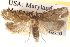  ( - CCDB-23276-A11)  @14 [ ] CreativeCommons - Attribution (2014) CBG Photography Group Centre for Biodiversity Genomics