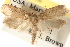  ( - CCDB-23276-A12)  @14 [ ] CreativeCommons - Attribution (2014) CBG Photography Group Centre for Biodiversity Genomics