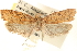  ( - CCDB-23276-B01)  @11 [ ] CreativeCommons - Attribution (2014) CBG Photography Group Centre for Biodiversity Genomics
