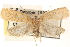 ( - CCDB-23276-B04)  @11 [ ] CreativeCommons - Attribution (2014) CBG Photography Group Centre for Biodiversity Genomics