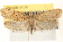  ( - CCDB-23276-B05)  @15 [ ] CreativeCommons - Attribution (2014) CBG Photography Group Centre for Biodiversity Genomics