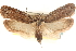  ( - CCDB-23276-D02)  @11 [ ] CreativeCommons - Attribution (2014) CBG Photography Group Centre for Biodiversity Genomics