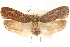  ( - CCDB-23276-D03)  @14 [ ] CreativeCommons - Attribution (2014) CBG Photography Group Centre for Biodiversity Genomics