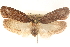  ( - CCDB-23276-D04)  @14 [ ] CreativeCommons - Attribution (2014) CBG Photography Group Centre for Biodiversity Genomics