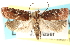  ( - CCDB-23277-A09)  @14 [ ] CreativeCommons - Attribution (2014) CBG Photography Group Centre for Biodiversity Genomics