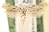  ( - CCDB-23277-B01)  @11 [ ] CreativeCommons - Attribution (2014) CBG Photography Group Centre for Biodiversity Genomics