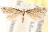  ( - CCDB-23277-D06)  @13 [ ] CreativeCommons - Attribution (2014) CBG Photography Group Centre for Biodiversity Genomics