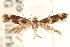  ( - CCDB-23277-G10)  @11 [ ] CreativeCommons - Attribution (2014) CBG Photography Group Centre for Biodiversity Genomics