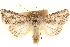  ( - CCDB-23279-C12)  @11 [ ] CreativeCommons - Attribution (2014) CBG Photography Group Centre for Biodiversity Genomics