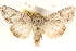  ( - CCDB-23279-D01)  @11 [ ] CreativeCommons - Attribution (2014) CBG Photography Group Centre for Biodiversity Genomics
