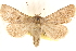  ( - CCDB-23279-D04)  @11 [ ] CreativeCommons - Attribution (2014) CBG Photography Group Centre for Biodiversity Genomics