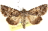  ( - CCDB-23279-G04)  @11 [ ] CreativeCommons - Attribution (2014) CBG Photography Group Centre for Biodiversity Genomics