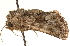  ( - CCDB-23279-G05)  @11 [ ] CreativeCommons - Attribution (2014) CBG Photography Group Centre for Biodiversity Genomics