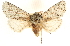  ( - CCDB-23279-H01)  @11 [ ] CreativeCommons - Attribution (2014) CBG Photography Group Centre for Biodiversity Genomics