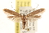  ( - CCDB-23280-G03)  @14 [ ] CreativeCommons - Attribution (2015) CBG Photography Group Centre for Biodiversity Genomics