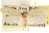  ( - CCDB-23281-A06)  @11 [ ] CreativeCommons - Attribution (2015) CBG Photography Group Centre for Biodiversity Genomics