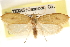  ( - CCDB-23281-A08)  @11 [ ] CreativeCommons - Attribution (2015) CBG Photography Group Centre for Biodiversity Genomics