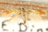  ( - CCDB-23281-C04)  @12 [ ] CreativeCommons - Attribution (2015) CBG Photography Group Centre for Biodiversity Genomics