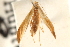  ( - CCDB-23281-C09)  @11 [ ] CreativeCommons - Attribution (2015) CBG Photography Group Centre for Biodiversity Genomics