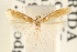  ( - CCDB-23281-D01)  @11 [ ] CreativeCommons - Attribution (2015) CBG Photography Group Centre for Biodiversity Genomics