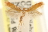  ( - CCDB-23281-D10)  @11 [ ] CreativeCommons - Attribution (2015) CBG Photography Group Centre for Biodiversity Genomics