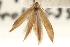  ( - CCDB-23281-D12)  @11 [ ] CreativeCommons - Attribution (2015) CBG Photography Group Centre for Biodiversity Genomics