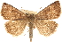  ( - CCDB-23282-H03)  @14 [ ] CreativeCommons - Attribution (2014) CBG Photography Group Centre for Biodiversity Genomics