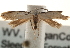  ( - CCDB-23283-B08)  @13 [ ] CreativeCommons - Attribution (2015) CBG Photography Group Centre for Biodiversity Genomics