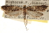  ( - CCDB-23283-B12)  @14 [ ] CreativeCommons - Attribution (2015) CBG Photography Group Centre for Biodiversity Genomics