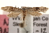  ( - CCDB-23283-C10)  @13 [ ] CreativeCommons - Attribution (2015) CBG Photography Group Centre for Biodiversity Genomics