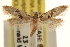  ( - CCDB-23283-D05)  @11 [ ] CreativeCommons - Attribution (2015) CBG Photography Group Centre for Biodiversity Genomics