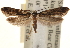  ( - CCDB-23283-D08)  @14 [ ] CreativeCommons - Attribution (2015) CBG Photography Group Centre for Biodiversity Genomics