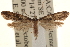  ( - CCDB-23283-D11)  @14 [ ] CreativeCommons - Attribution (2015) CBG Photography Group Centre for Biodiversity Genomics