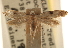 ( - CCDB-23283-E10)  @13 [ ] CreativeCommons - Attribution (2015) CBG Photography Group Centre for Biodiversity Genomics
