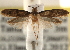  ( - CCDB-23283-G02)  @14 [ ] CreativeCommons - Attribution (2015) CBG Photography Group Centre for Biodiversity Genomics