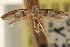  ( - CCDB-23283-G10)  @11 [ ] CreativeCommons - Attribution (2015) CBG Photography Group Centre for Biodiversity Genomics