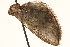  ( - CCDB-23284-B10)  @12 [ ] CreativeCommons - Attribution (2015) CBG Photography Group Centre for Biodiversity Genomics