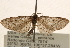  ( - CCDB-23284-C03)  @13 [ ] CreativeCommons - Attribution (2015) CBG Photography Group Centre for Biodiversity Genomics
