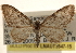 ( - CCDB-23284-C05)  @14 [ ] CreativeCommons - Attribution (2015) CBG Photography Group Centre for Biodiversity Genomics