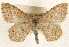  ( - CCDB-23284-E01)  @14 [ ] CreativeCommons - Attribution (2015) CBG Photography Group Centre for Biodiversity Genomics