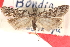  ( - CCDB-23286-A02)  @14 [ ] CreativeCommons - Attribution (2015) CBG Photography Group Centre for Biodiversity Genomics