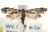  ( - CCDB-23286-E05)  @14 [ ] CreativeCommons - Attribution (2015) CBG Photography Group Centre for Biodiversity Genomics