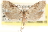  ( - CCDB-23286-G11)  @11 [ ] CreativeCommons - Attribution (2015) CBG Photography Group Centre for Biodiversity Genomics
