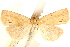  ( - CCDB-23286-H11)  @11 [ ] CreativeCommons - Attribution (2015) CBG Photography Group Centre for Biodiversity Genomics
