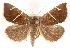  ( - CCDB-23287-A01)  @13 [ ] CreativeCommons - Attribution (2015) CBG Photography Group Centre for Biodiversity Genomics