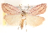  ( - CCDB-23287-A02)  @14 [ ] CreativeCommons - Attribution (2015) CBG Photography Group Centre for Biodiversity Genomics